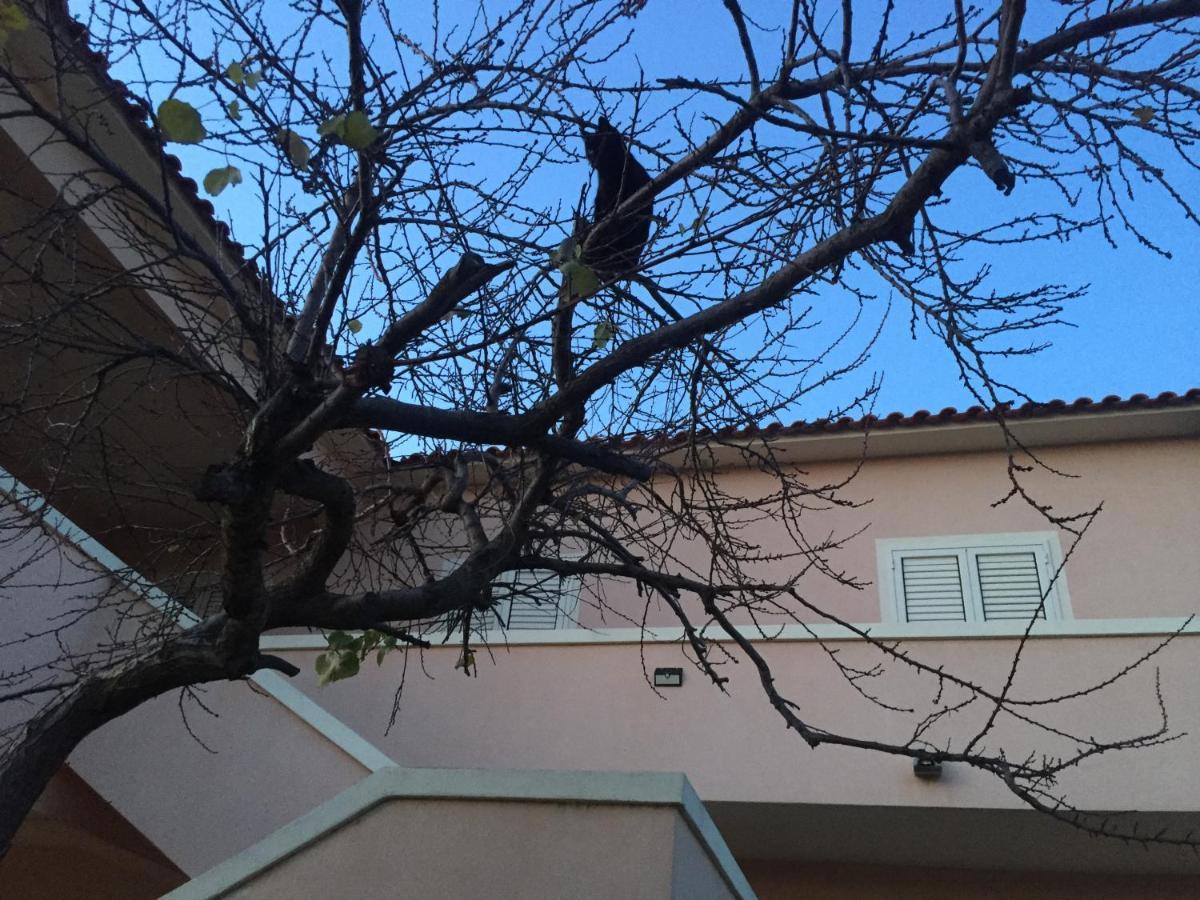 La Maison Di Zia Annina Ad Over The In Sardegna Guest house