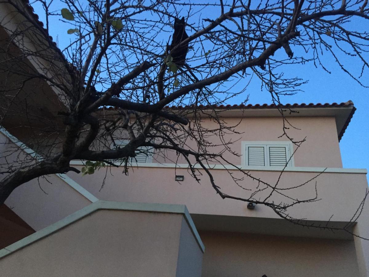 La Maison Di Zia Annina Ad Over The In Sardegna Guest house *