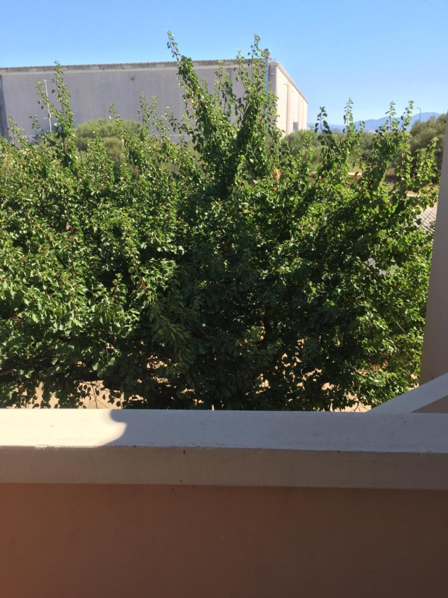 La Maison Di Zia Annina Ad Over The In Sardegna Guest house *