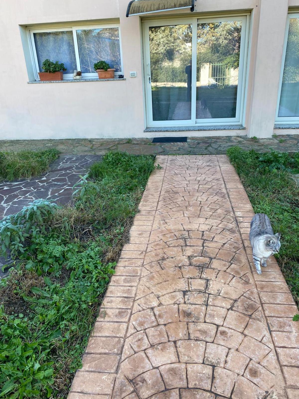 La Maison Di Zia Annina Ad Over The In Sardegna Guest house *