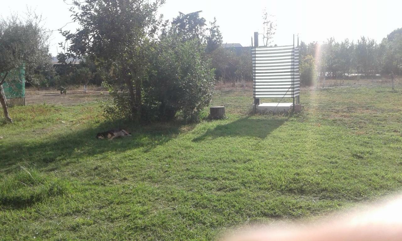 Guest house La Maison Di Zia Annina Ad Over The In Sardegna