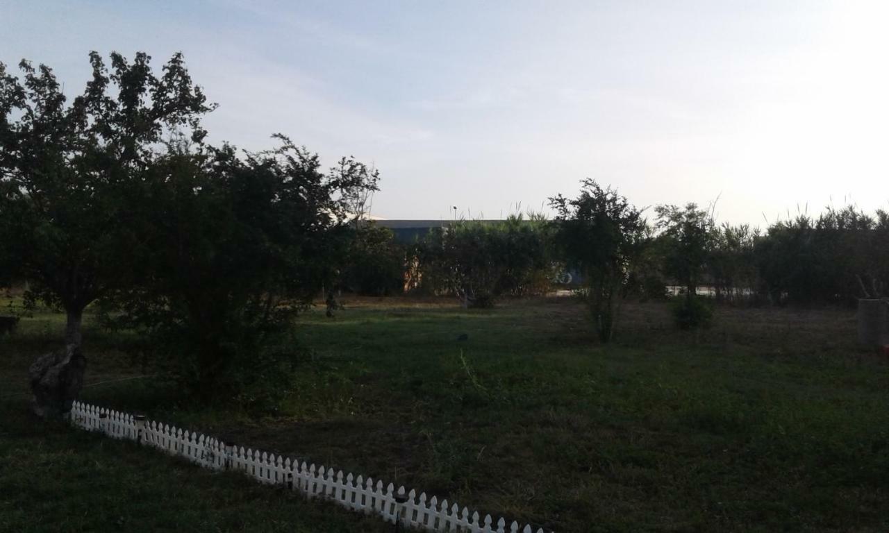 La Maison Di Zia Annina Ad Over The In Sardegna Guest house Olbia