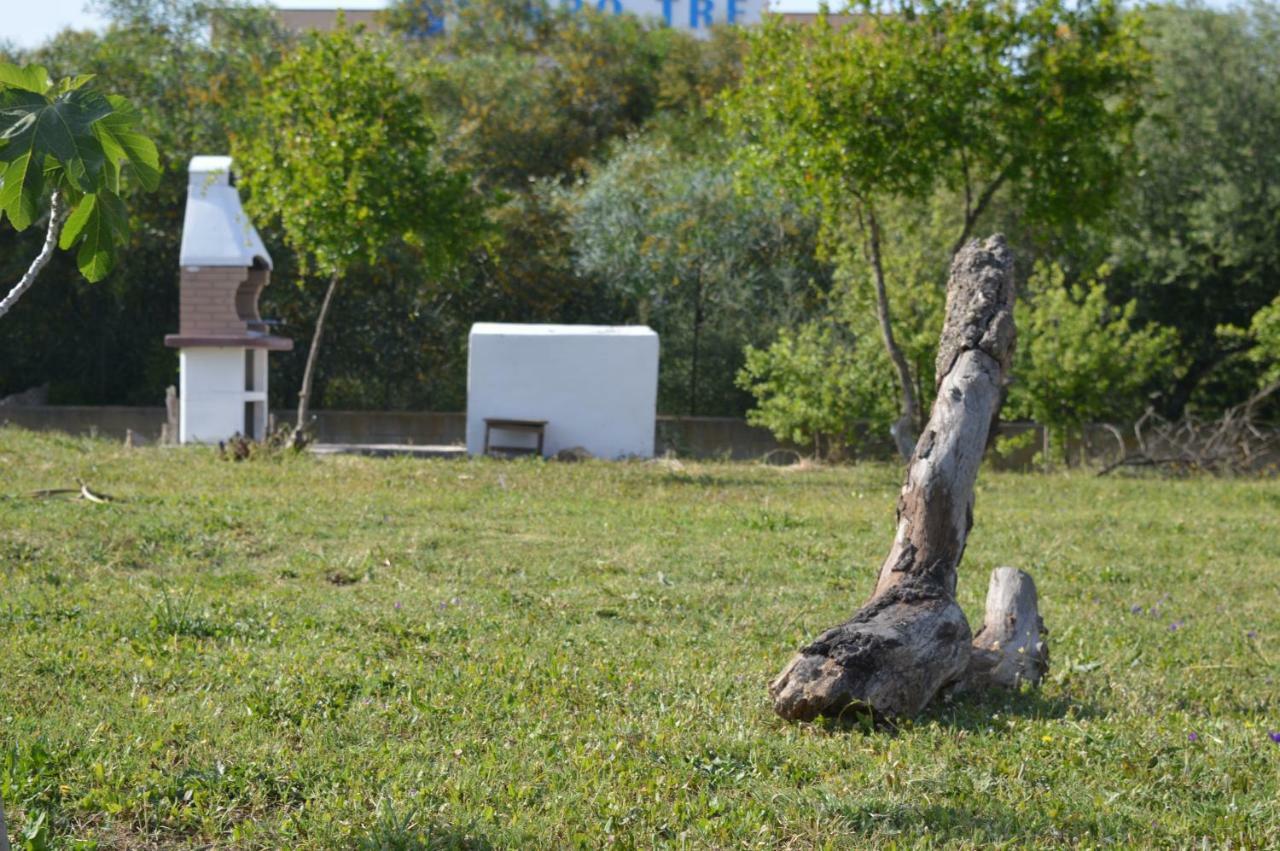 La Maison Di Zia Annina Ad Over The In Sardegna Guest house *